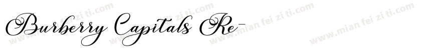 Burberry Capitals Re字体转换
